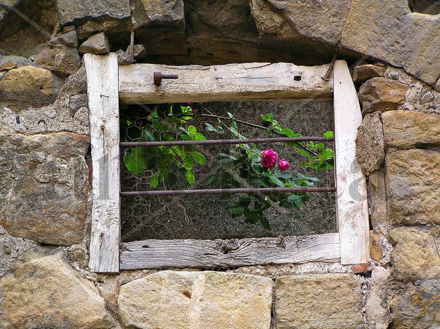 Ventanas 2