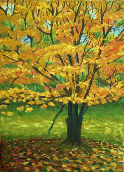 Arce amarillo solitario Oil Canvas Landscaping