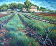 campo de vid