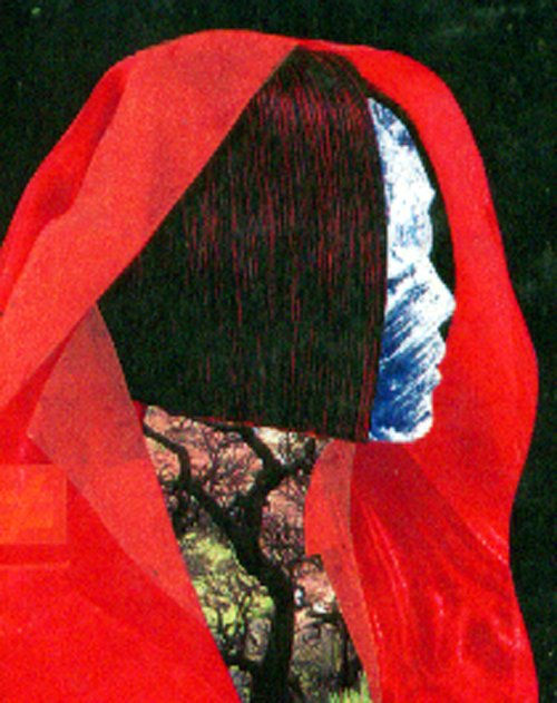 virgen naturaleza