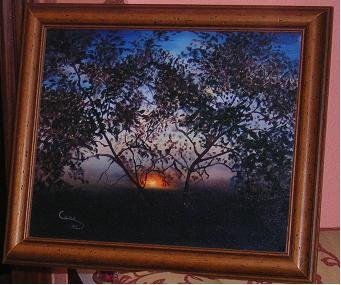 Crepúsculo solar en...