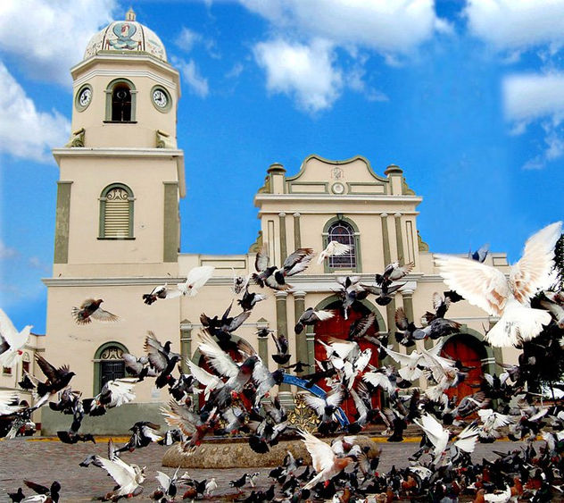 SANTUARIO DIVINA PASTORA