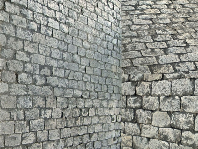 Las rosas contra el muro-Girona en Palahí