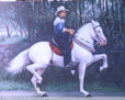 Caballista costarricense