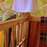 Gatas y gatos. thumbnail 2