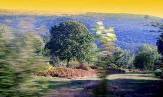 Naturaleza con color y movimiento.