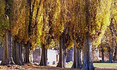 Naturaleza .