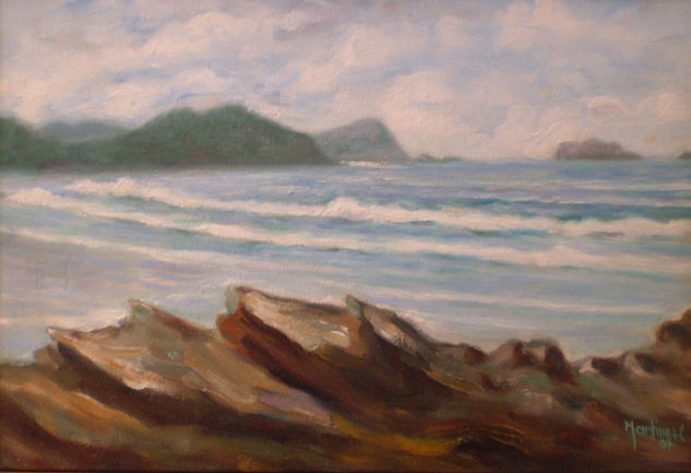 Playa del Coco Oil Canvas Landscaping