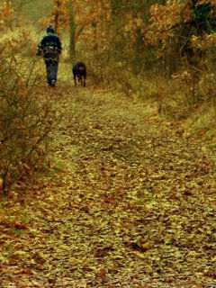 Paseo de otoño. Nature Color (Digital)