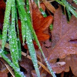 Naturaleza . thumbnail 2