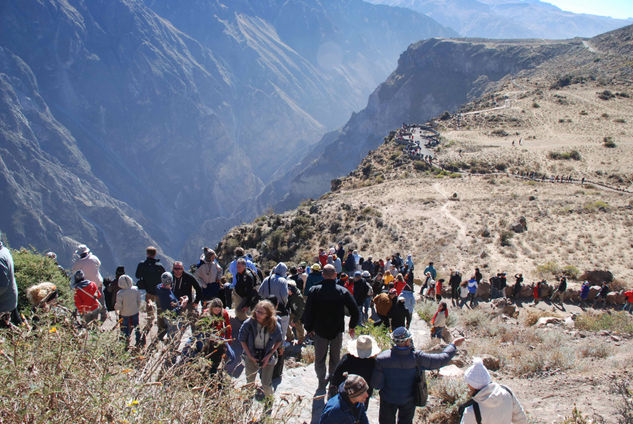 Cañon del Colca Viajes Color (Digital)