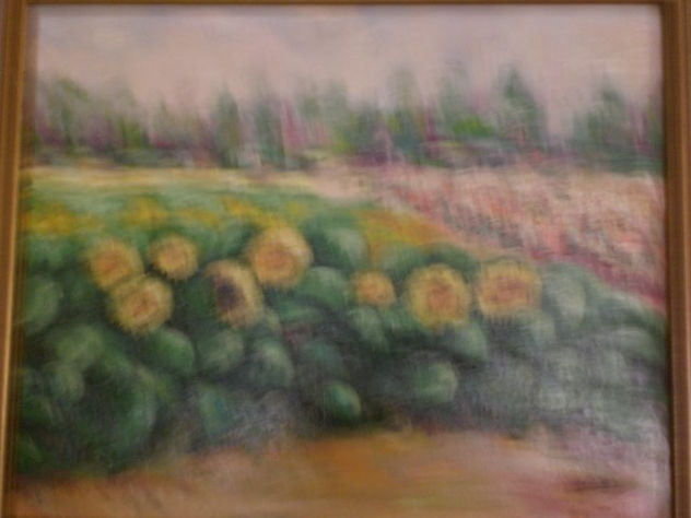 campo de girasoles