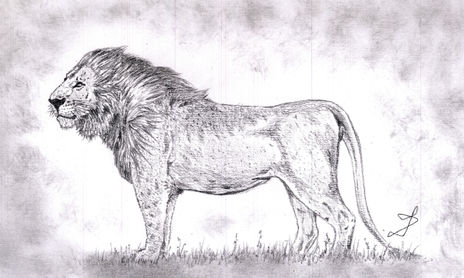 Dibujos a Grafito