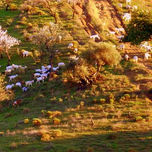 Naturaleza . thumbnail 1