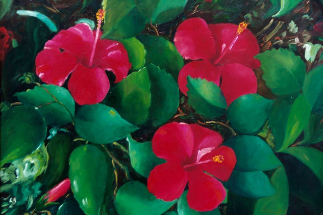 Hibiscus Oil Canvas Floral Painting