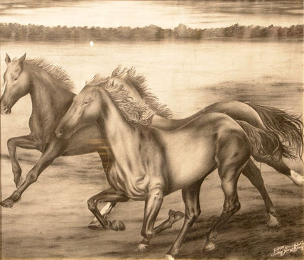 Caballos Salvajes