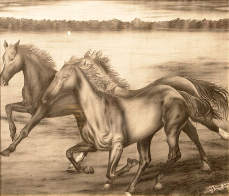 Caballos Salvajes