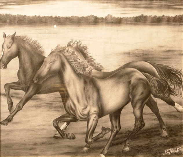 Caballos Salvajes