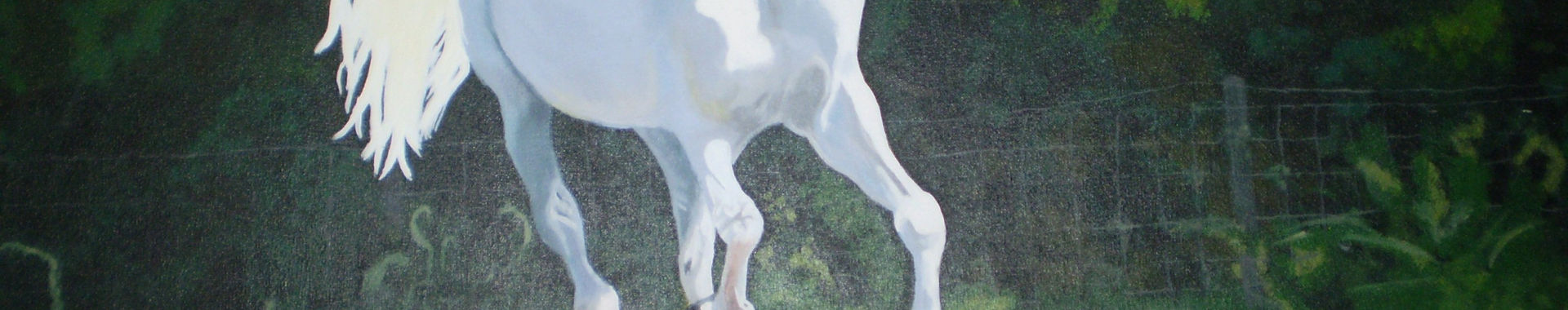 Imagen de portada