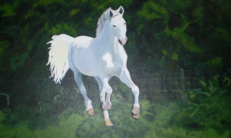artedna