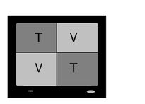 Tv  vt