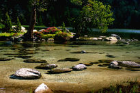 Ibón y rododendro