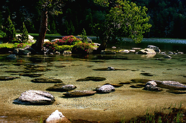 Ibón y rododendro Nature Color (Manual)