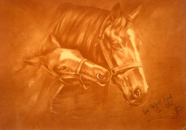 horses for you