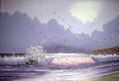 purple and sea