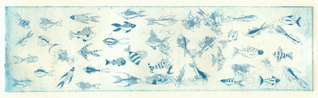 Alga et Piscis