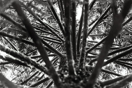 Sin titulo