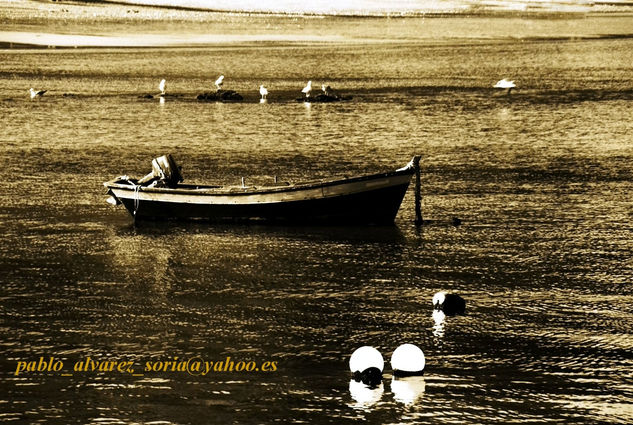 BARCA EN SEPIA 2 