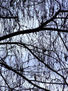 dscf1234