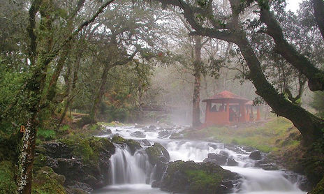 Naturaleza