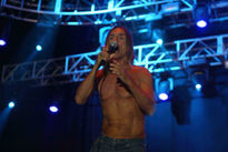 Iggy pop fib 08