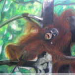 Animales thumbnail 1