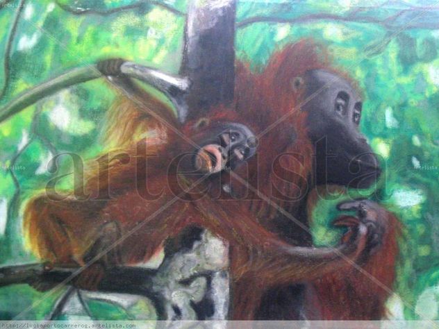 Madre Orangután