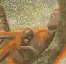 Orangutanes