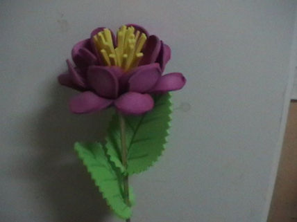 Flor de fomy