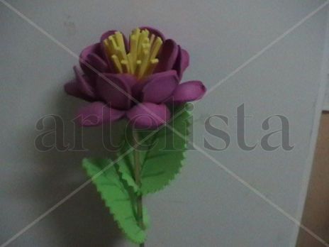 Flor de fomy