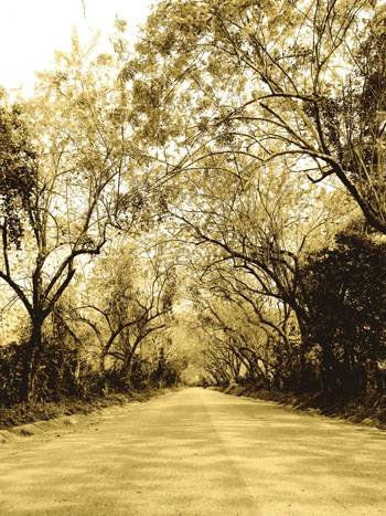 Entrada a la Montaña de Sorte Fotoperiodismo y documental Técnicas alternativas