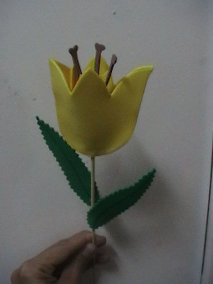 Tulipán de fomy