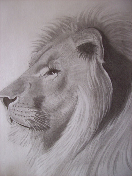 "Ferocia"