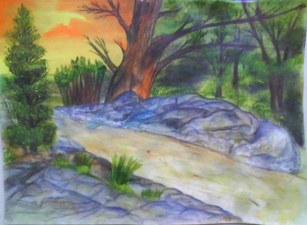 Sendero de luz y piedras