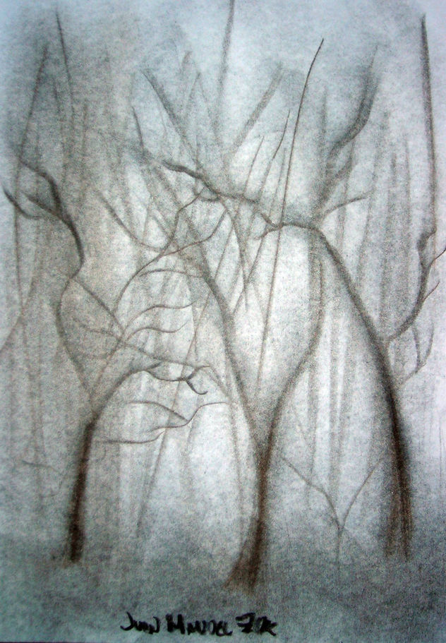 OTOÑO EN EL BOSQUE