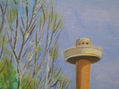 Torre del Agua, detalle