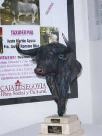 Busto de toro