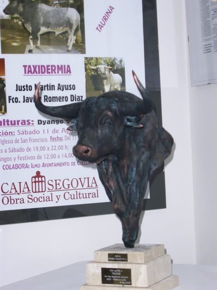 Busto de toro