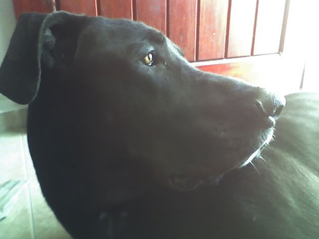 sam