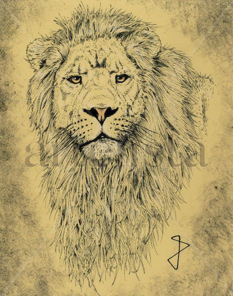León 1